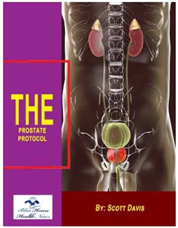The Prostate Protocol PDF Download - Scott Davis